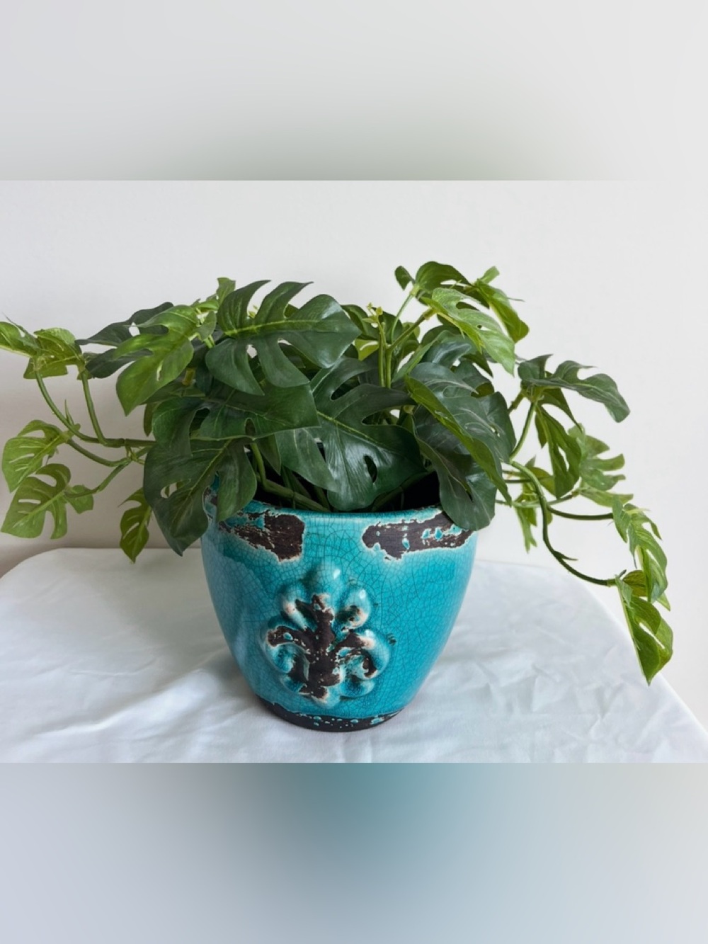 Hobby Lobby Faux Split Leaf Monstera Plant in Fleur-de-Lis Ceramic Pot 5”